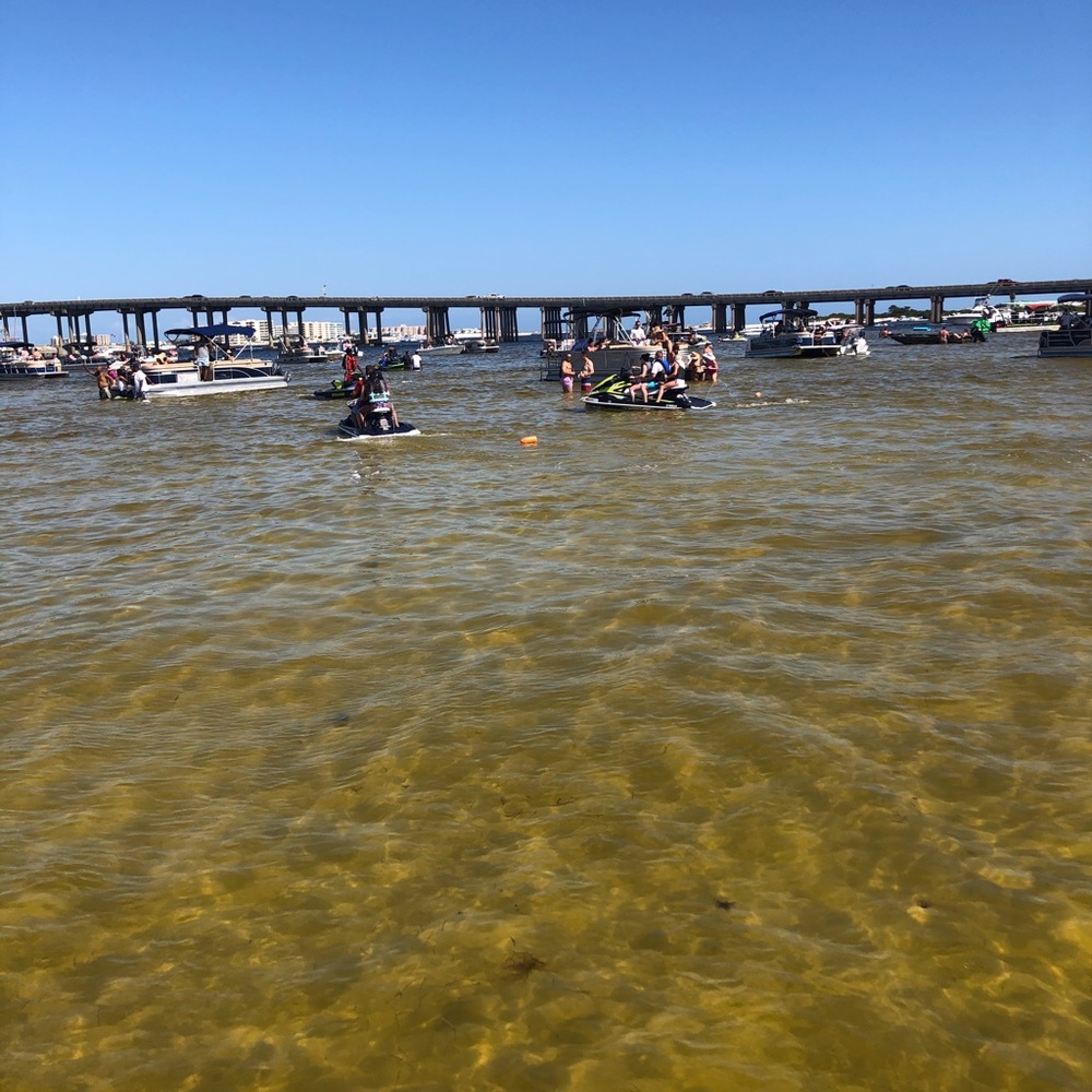 Meet your Posher, Sophia